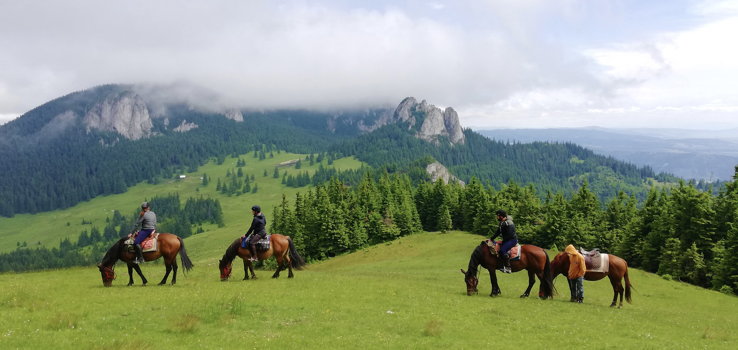 Erasmus + Preview Project - ADI Harghita (Harghita County, Romania)