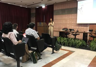 Preview Project Final meeting in Palermo